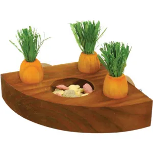 Carrot Toy and Treat Holder