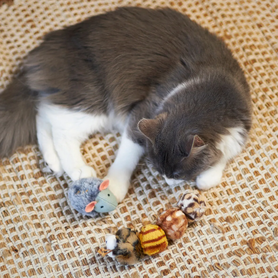 Kazoo Noisy Mouse Cat Toy^^^