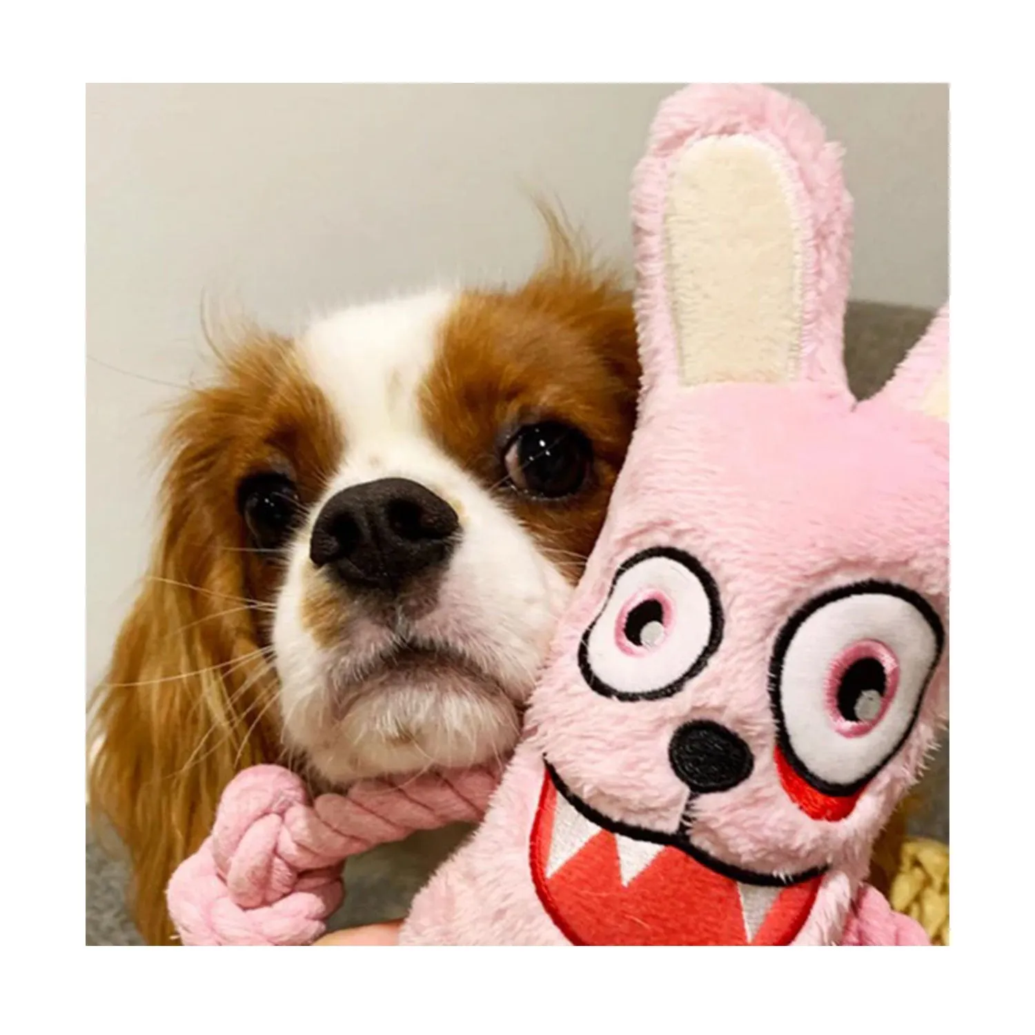 La Doggie Vita Psycho Bunny Plush Rope Toy with Squeaker