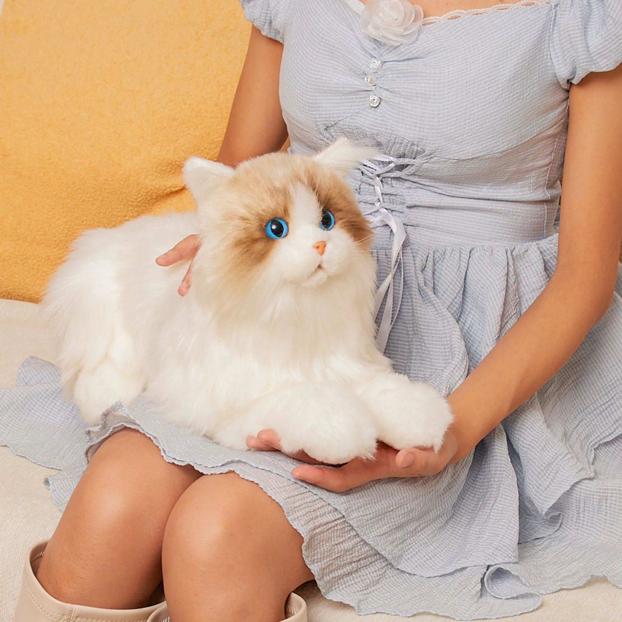 MateCat10 Interactive Cat