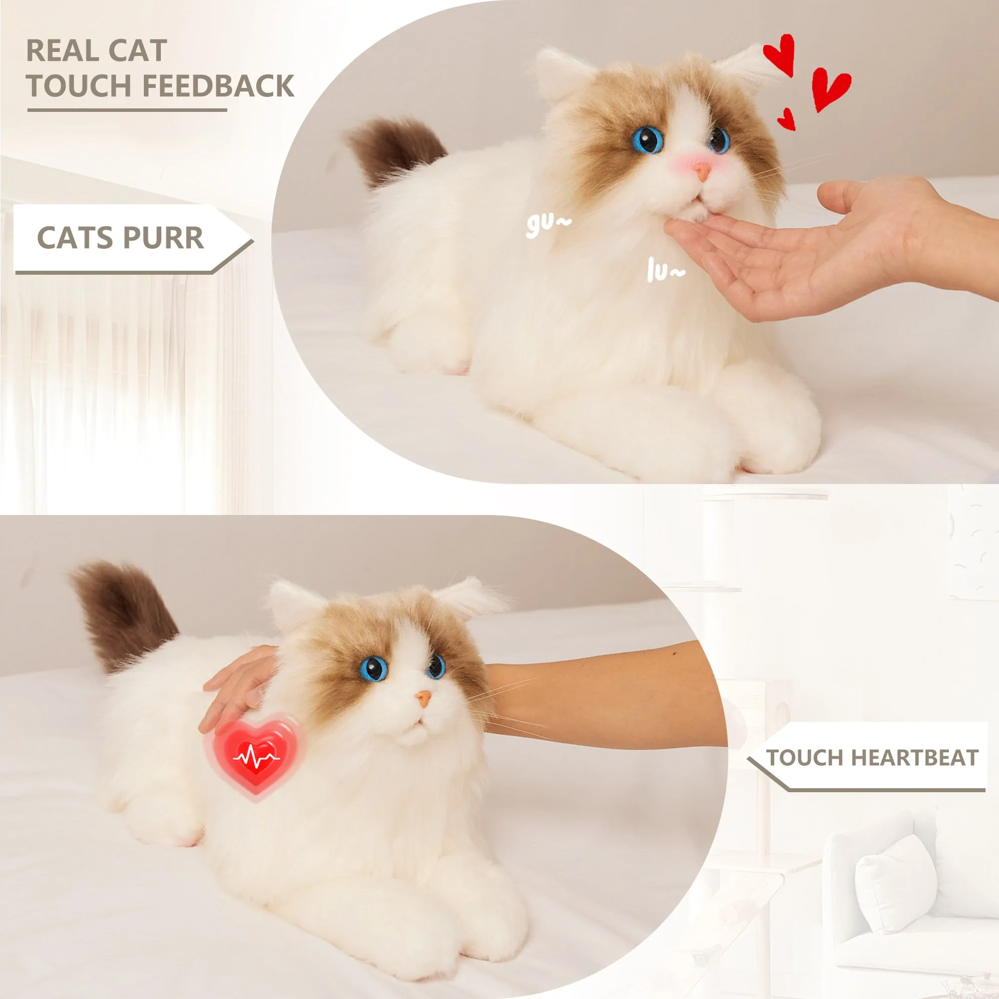 MateCat10 Interactive Cat