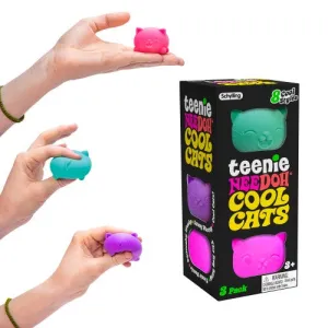 Schylling – Cool Cats Teenie Nee Doh 3 Pack
