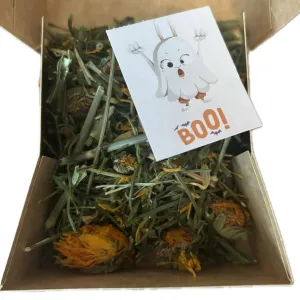 Trick or Treat Forage Box